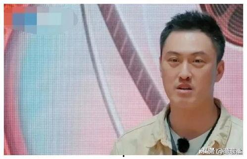 娱乐圈吃瓜爆料助理是谁,揭秘神秘助理身份大揭秘